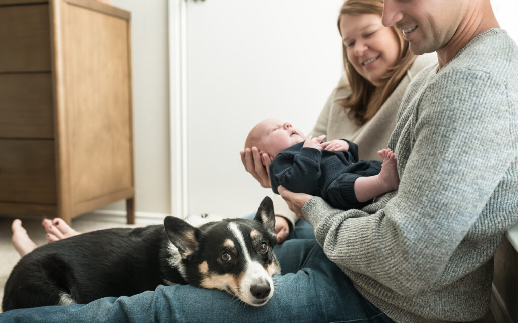 Family dog lies its head on its owner's lap during an in-home newborn session.