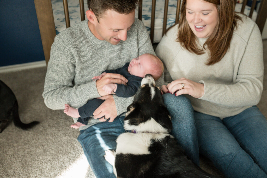 The family dog licks the newborn baby while the parents hold the newborn for family photos.