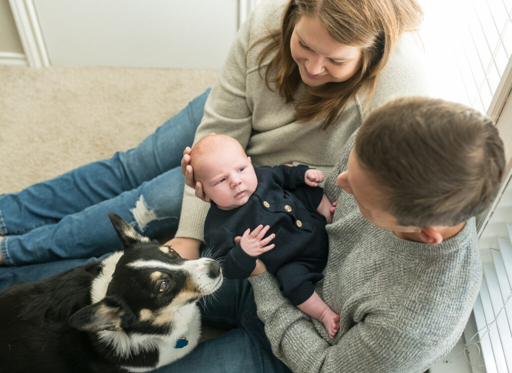 A family dog lies in the owner's lap while the owner holds their newborn son on the floor.