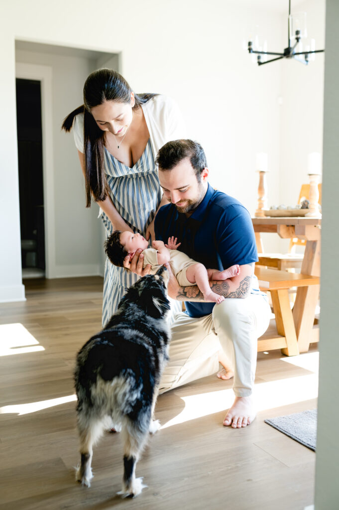 Mom and dad hold their newborn baby low so their family dog can smell the baby.
