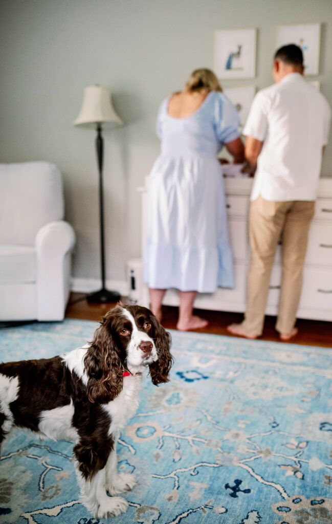 parents changing diaper while family dog looks at camera
