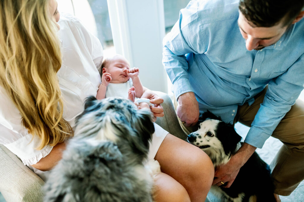 parents and family pets watch their newborn son